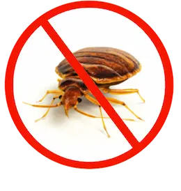 comprehensive bed bug treatment in caledon